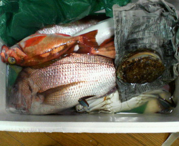 元気ですかぁ(^^)