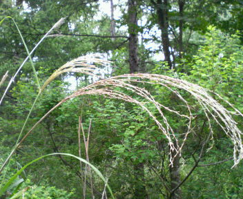 おっはよーん(^o^)<br />
 ／~~