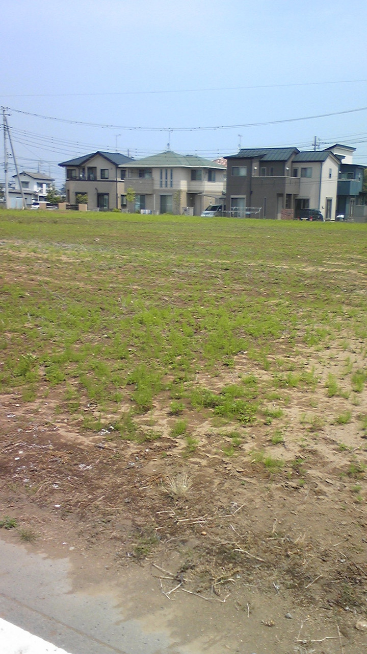 春！＼＾o<br />
 ＾／