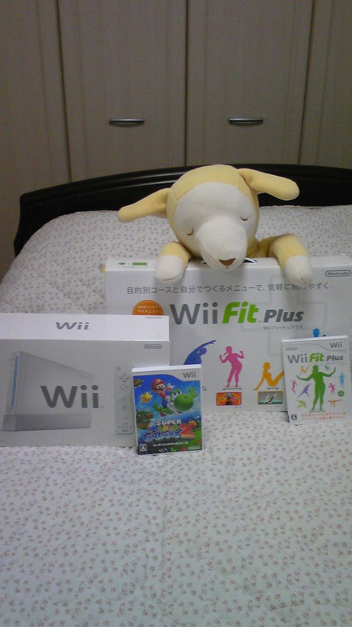 とうとう我が家にも