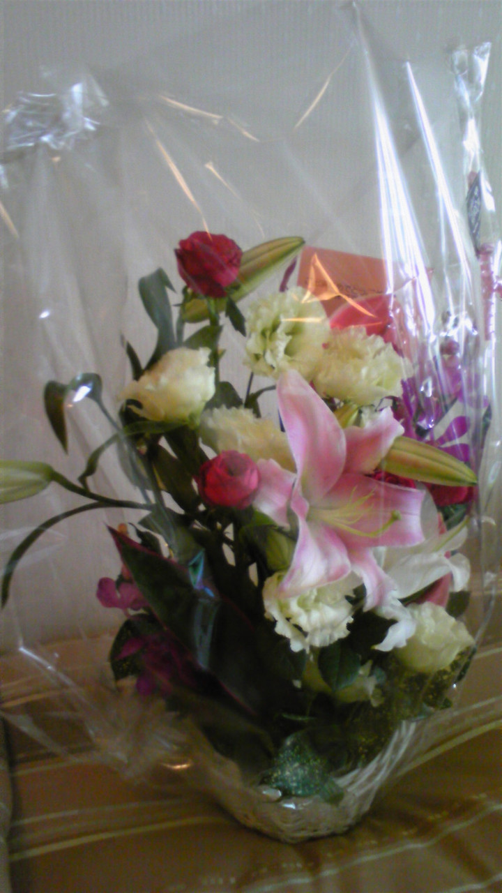 こんにちは(^-^*)/