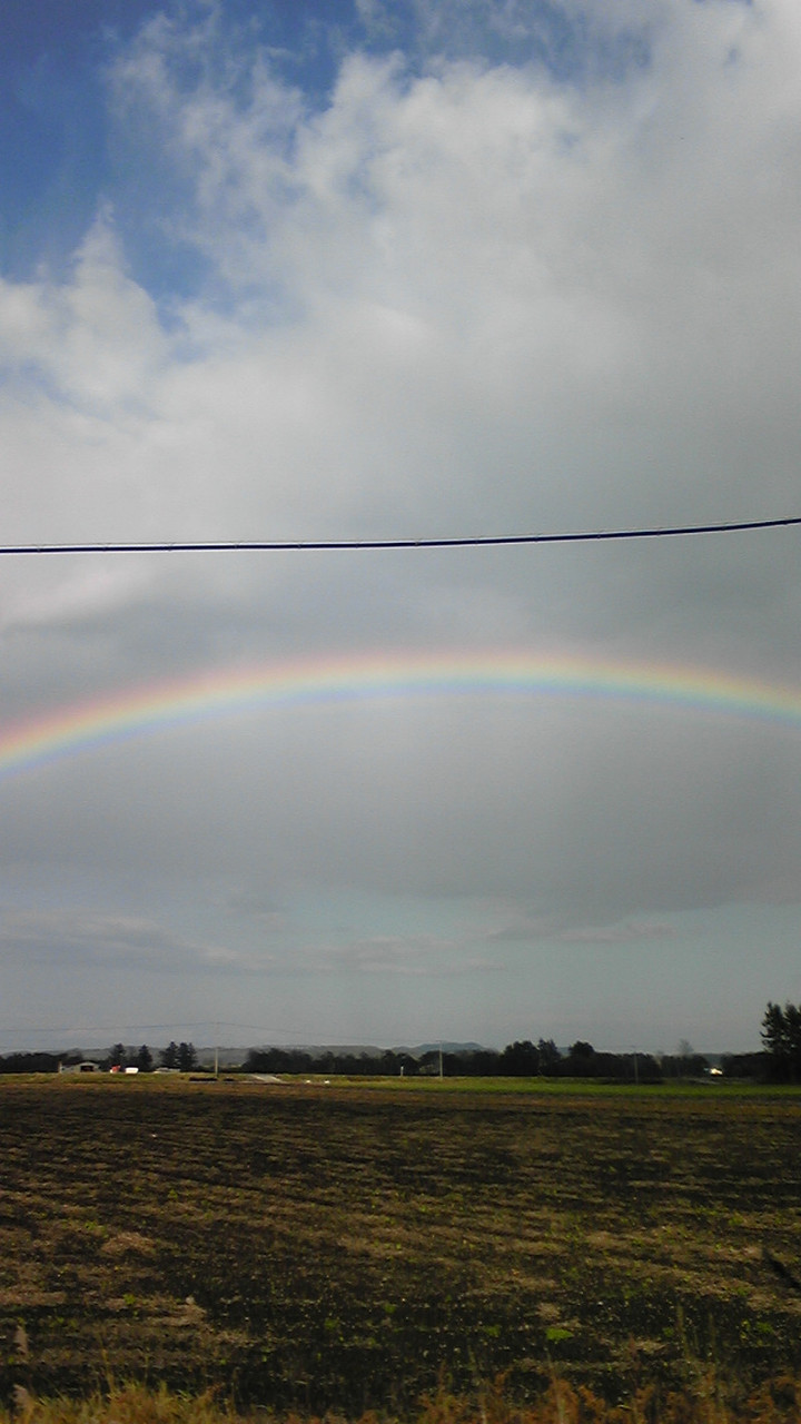 こんにちは(^-^*)/