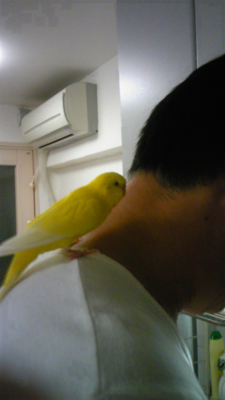 追伸！甘えん坊f^_^