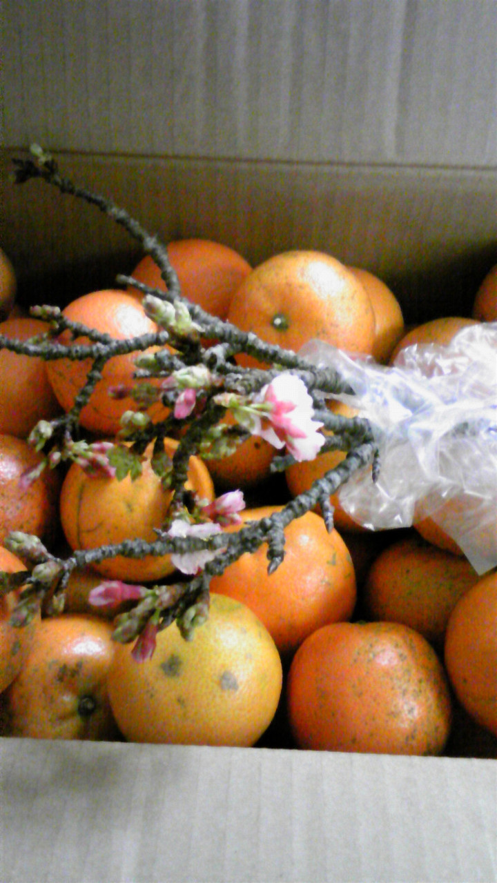 嬉しいなぁo(^-^)o