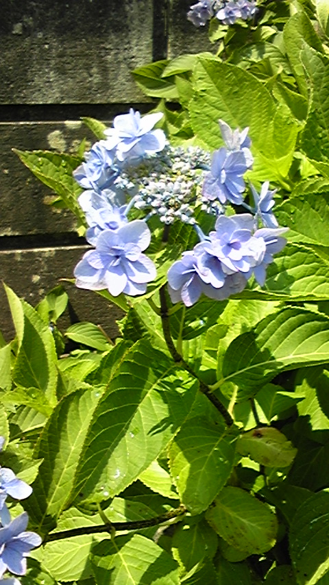 今日一日の報告