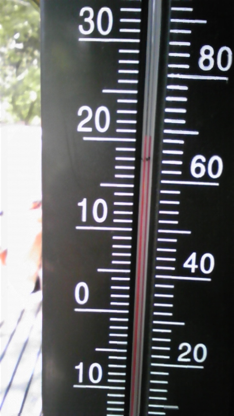 軽井沢なう(^O^)